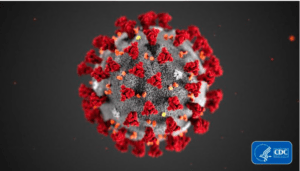 Read more about the article The Coronavirus (COVID-19)